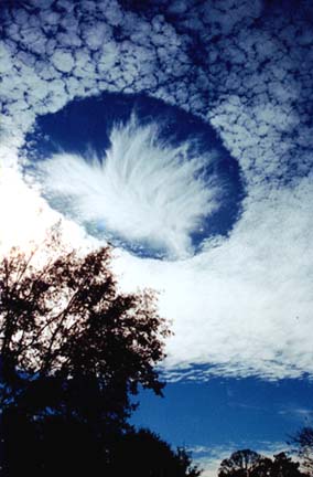  January 12, 2004, hole punch cloud over Mobile, Alabama. Image © 2004 by Joel Knain.