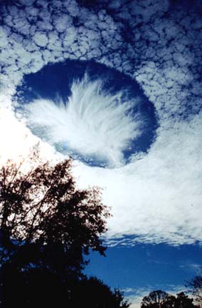 January 12, 2004, hole punch cloud over Mobile, Alabama. Image © 2004 by Joel Knain.