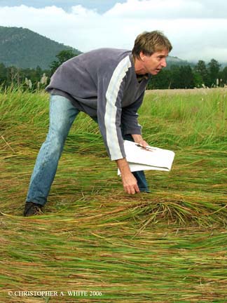 Paul Boulton's feet are about 6 inches below surface of grass circle, demonstrating the depth of the raised center of the larger circle. Photograph © 2006 by Christopher White.