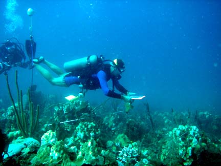 U. S. National Park Service Fisheries Biologist, Jeff Miller, monitoring decline of coral in Virgin Islands National Park. Image by Caroline Rogers, Ph.D., USGS.
