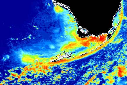 Thermal images of Gulf waters west of Florida and the Keys measured 79 degrees F. to a depth of 150 meters (492 feet). Image courtesy Dept. of Marine Science, University of South Florida.