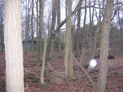 February 17, 2006, at 10 a.m. Eastern at survey site in western New Jersey. Camera was Cannon A-95 digital. Photograph by Vincent Creevy, Survey Engineer.