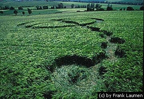 May 17, 2000 this formation was discovered in a field of barley at Doernberg close to Zierenberg and Kassel, Germany. This was the third of nine formations in May. Photograph © 2000 by Frank Laumen.