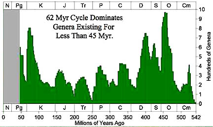 Graph of Earth life genera (genus of species) declining on a cycle of every 62 million years for the past half billion years. Graphic © 2005 by Richard Muller, Ph.D.