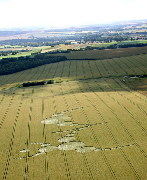 Massive pattern of circles in East Field, Alton Priors, Wiltshire, U. K. wheat, estimated to cover 96,600 square feet, or 2.25 acres, with 150 circles in a very strange design spread across 1,033 feet and 490 feet wide. Aerial images © 2007 by Lucy Pringle. Also see: Cropcircleconnector.com.