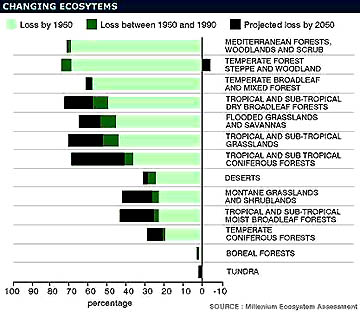 Sixty percent of the fresh air and water, fisheries, forests and other habitats are facing serious degradation or destruction by 2050 - only 45 years from now. The black vertical line on the graph above designates the year 2050. Graphic source: Millennium Ecosystem Assessment.