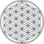  Flower of Life geometry made by pattern of overlapping circles.