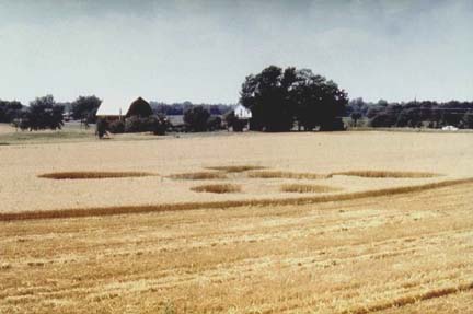 Above and below: photographs Allan County, Ohio, © 1999 landowner (name withheld for privacy) and provided by ICCRA.