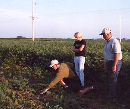 As sun was setting on Thursday, August 24, 2006, farm owners Jim and Chris Stahl examined flattened soybeans with Ted Robertson in eastern circle, Geneseo, Illinois. Photograph © 2006 by Linda Moulton Howe.