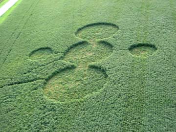 Aerial image on August 21, 2006,  © by Linda Moulton Howe.