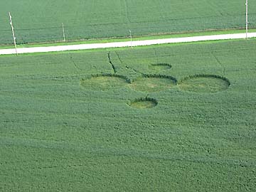 Five circles in soybeans first reported Thursday afternoon, August 17, 2006. Pathways to were not there on August 17. Paths were created by a Henry County Deputy Sheriff and farm owner, Jim Stahl, plus others who first entered the field on Saturday morning, August 19, 2006, when 12-feet-deep "walls" of soybeans were standing untouched between larger center circle and two outer, smaller circles. Aerial image on August 21, 2006,  © by Linda Moulton Howe.