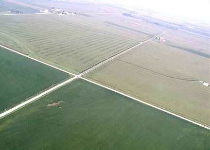 Aerial showing 5-circle-formation not aligned to Middle Road on left. Jim Stahl planted soybeans parallel to northern fence row to the right off camera. Ted Robertson found, using GPS, that the formation was rotated 19 degrees east of magnetic north. Photograph © 2006 by Ted Robertson.