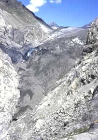 Left: In 1979, the dirty gray Aletsch Glacier in Switzerland reached far down the mountain slopes. But on the right, in 2002 - only 23 years later - the glacier is nearly gone and trees and plants are growing. Photographs courtesy World Wildlife Fund. 