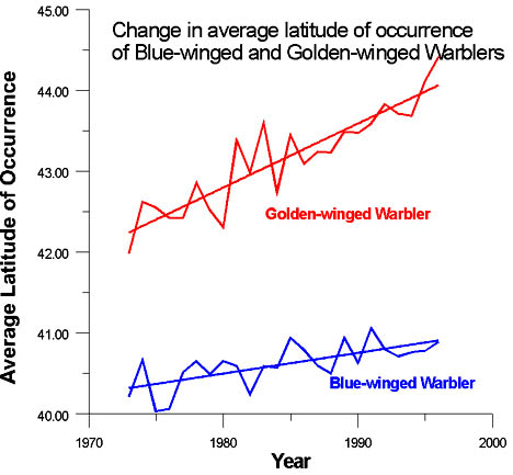 Graphic showing that Blue-winged and Golden-winged Warblers have been seeking higher average latitudes. Graphic © 2004 by Jeff Price, Ph.D.