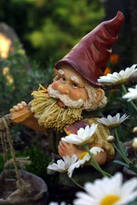 German garden gnomes (above) usually have bushy eyebrows, a long beard and conical hat, often reddish in color.