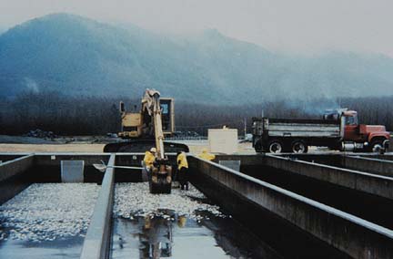 Destruction of several million fish at the Makah National Fish Hatchery following initial discovery of viral hemorrhagic septicemia virus at the facility. Image courtesy USGS.