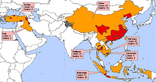 W.H.O.'s March 8, 2006, map of human H5N1 cases since 2003. Left to right: Iraq 2 cases, 2 deaths; Turkey 12 cases, 4 deaths; Thailand 22 cases, 14 deaths; Indonesia 27 cases, 20 deaths; China 15 cases, 10 deaths; Cambodia 4 cases, 4 deaths; Vietnam 93 cases, 42 deaths.