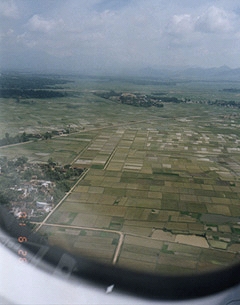 Rice fields in Hanoi, Vietnam from airline window on June 26, 2001. Photograph by Linda Moulton Howe.