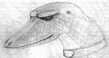 Reptilian humanoid allegedly encountered by men after cow mutilation. Drawing © by "Howard."