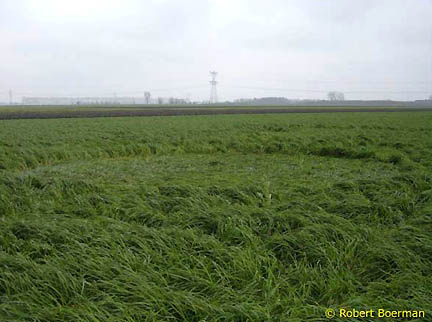 Hoeven, Holland, Sunday, April 10, 2005, photographs of larger circle © 2005 by Robert Boerman.