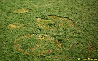 Four circles ranging from 6 meters to 1 meter in diameter close together in grass about one mile from the Robbert van den Broeke home in Hoeven, Holland. Photograph and diagram below © 2004 by Robert Boerman, DCCA. 