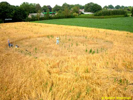 Robert Boerman in center of Hoeven, Holland, wheat circle that Robbert van den Broecke said first appeared on May 20, 2004. His son, Bart, is at the left edge of the circle. Photograph © 2004 by Robert Boerman.