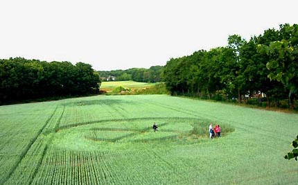 Reported June 10, 2004, eighty-five-foot diameter ring around standing wheat divided into four sections by two paths that did not cross in the center in Wijchen, Holland. Magnetic leyline anomalies as well. Photograph © 2004 by Robert Boerman.