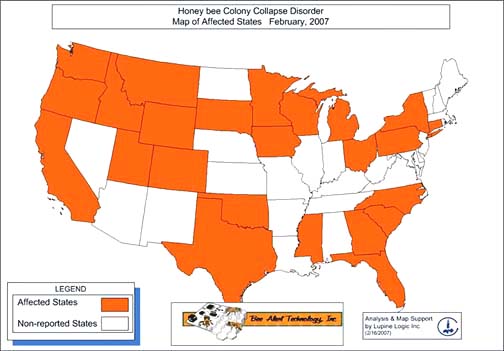 February 2007 map showing states so far affected by the honey bee collapse disorder in which beekeepers have reported 60% to 100% honey bee disappearances without explanation to date. Map courtesy MAAREC.