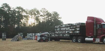 Hives of honey bees are loaded on to truck for transport up and down, and between, American coasts as pollinators for hire.