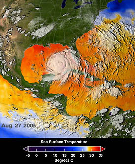 Warm ocean waters fuel hurricanes. The Gulf of Mexico was about 2 degrees F. (1 deg. C.) warmer than normal when Katrina, imaged above, went from a Category 1 to Cat 5 between August 26 and August 28, 2005,  before slamming into the Gulf Coast as a Category 4 on August 29, 2005. Image courtesy NASA.