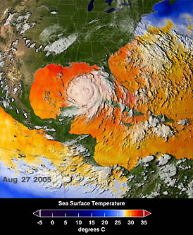 Warm ocean waters fuel hurricanes. The Gulf of Mexico was about 2 degrees F. (1 deg. C.) warmer than normal when Katrina, imaged above, went from a Category 1 to Cat 5 between August 26 and August 28, 2005, before slamming into the Gulf Coast as a Category 4 on August 29, 2005. Image courtesy NASA.