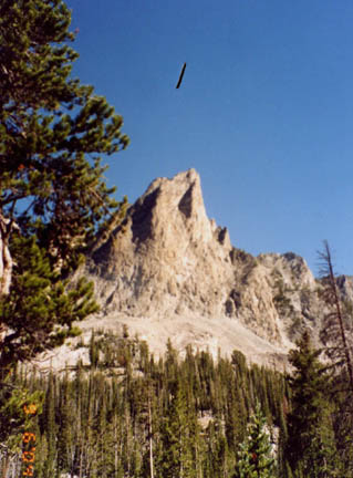 Photograph of unidentified aerial object taken by backpacker in Idaho Sawtooth Mountains on September 6, 2004.