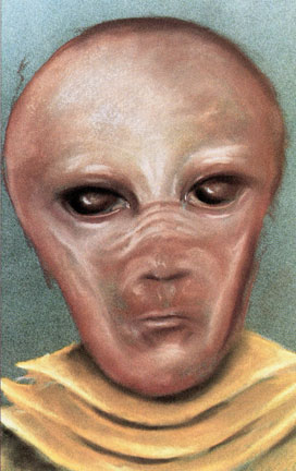 Pastel drawing of E. T. with pear-shaped head and grey skin (abductee said color was like the paper, not the flesh-color he used from pastels) that had four long fingers and wore a yellow-gold garment with a layered collar. See original in-depth report in An Alien Harvest © 1989 by Linda Moulton Howe in Earthfiles Shop. Also see 5-part 2011 archived Earthfiles reports listed below.