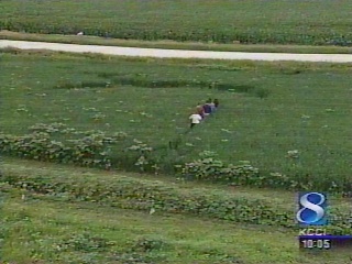  On Saturday, July 3, 2004, Brenda and Mike Trevis noted "a dozen spots" where plants were down in their oat field. All images © 2004 by KCCI-TV, The Iowa Channel 8, Des Moines, Iowa.