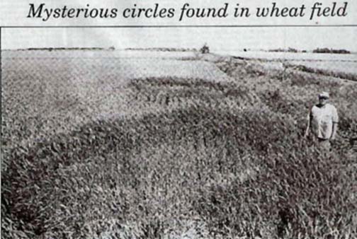 Front Page, The Herington Times, Thursday, June 8, 2006. Farm owner, Merle Ecklund, is standing to the right of the westernmost circle in his wheat field. The second eastern circle is behind. Both circles were estimated to be about 28-feet in diameter and both defined by three different heights in the nearly ripe wheat. Times photo by Larry.