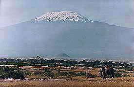  Mt. Kilimanjaro, Tanzania, is Africa's highest mountain at 19,340 feet.