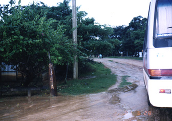 Bomb labeled "USA" under tree along the road from Xepon. Photograph © 2001 by Linda Moulton Howe.