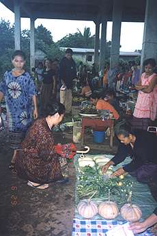 Xepon, Laos early morning market. Photograph © 2001 by Linda Moulton Howe.