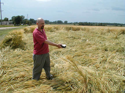 Terry Fisk using Tri-Field meter to check randomly downed barley for electric, magnetic or microwave/radio wave anomalies in Litchfield, Minnesota.