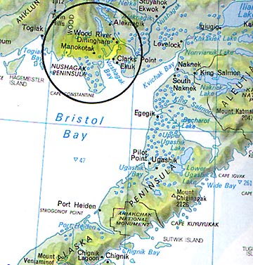 Several dozen Manokotak and Dillingham residents and local pilots have seen a "huge, dark feathered bird" with wing span estimated up to 14 feet soaring in the sky since the end of September 2002.