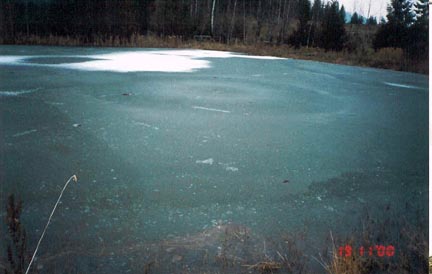 Above and below are photographs of two ice circles on a small pond in the back yard of Mr. and Mrs. Excelex, in the Okanagan Valley half way between Salmon Arm and Kamloops, British Columbia, Canada, taken on on November 19 and November 21, 2000. Photographs © 2000 by Mr. Excelex.