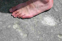 Left: Human left foot placed next to what appears to be left footprint in volcanic rock, Puebla, Mexico. Right: Possible right footprint, showing toe impressions and ball and heel, first discovered in 2003. Images courtesy John Moores University, U.K.