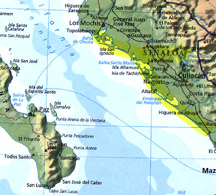 Whales, dolphins and turtle found dead on beaches of Sinaloa State, Mexico. Culiacan is capital. Gulf of California and Sea of Cortez are names for same body of water.