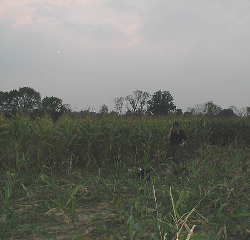 Above: On September 2, 2004, at approximately 9 p.m. ET, Jeffrey Wilson, Director of ICCRA, talking with Linda Moulton Howe soon after entering the Miamisburg, Ohio, corn pattern. Unidentified bright oval in upper left. Below: Bright oval and two dim lights above Jeff, highlighted by Ted Robertson. Digital images on Olympus Camedia C 3000 3.3 mega pixel digital camera; flash on the High quality setting 2048 pixels by 1536 pixels. © 2004 by Ted Robertson.