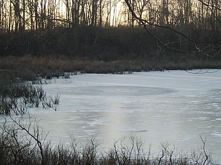 Horton, Michigan ice circle (62 x 64 feet diameter) found in Mud Lake cove about ten feet from reed bed on December 28, 2003. Photograph © 2003 by Vaughn Hobe.