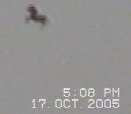 A closer zoom a minute later on the digital videotape. The horse seems to be tipped more vertically than in the other frame. Image © 2006 by Jaime Maussan Productions.