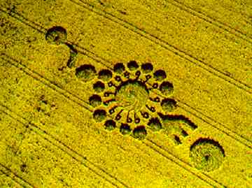 Milk Hill, Wiltshire, discovered May 2, 1999, in yellow flowering oilseed rape, 250 feet long. Charles Mallett encountered a sphere of light inside the circle at the far right. Photograph © 1999 by Steve Alexander.