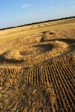 Pictogram in barley about 130 feet long on farm owned by Delos Haugen in Burlington near Minot, North Dakota. Photograph taken on August 11, 2003, from swathing machine by Donna.