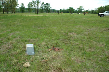 Rancher Ricky Lummus used trash can to cover and protect cow puppy's body after he contacted Miller County Sheriff's office to investigate. Photograph © 2005 by Ricky Lummus.