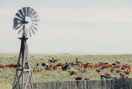  The Chuck and Sheri Bowen windmill-powered watering hole on their 13,000-acre ranch near Eads. Photograph © 2006 by Chuck Bowen.